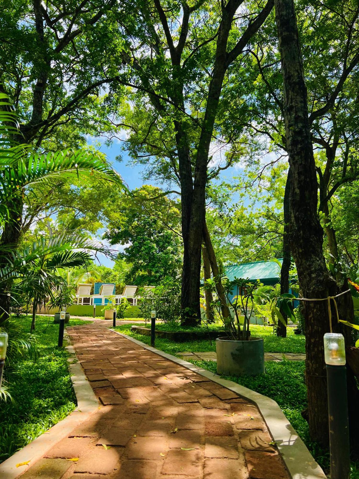 Maritime Nest Cabanas Tangalle Exterior photo